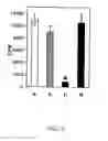 Fig. 07 - Recombinant MHC molecules useful for manipulation of antigen-specific T-cells