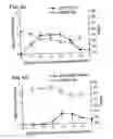 Fig. 09 - Recombinant MHC molecules useful for manipulation of antigen-specific T-cells