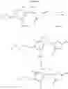 Fig. 197 - Dipeptide phenyl ethers