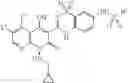 Fig. 101 - Anti-infective agents