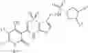 Fig. 131 - Anti-infective agents