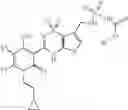 Fig. 136 - Anti-infective agents