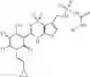 Fig. 137 - Anti-infective agents