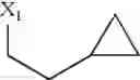 Fig. 162 - Anti-infective agents