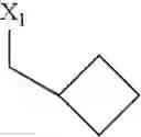 Fig. 183 - Anti-infective agents