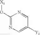 Fig. 374 - Anti-infective agents