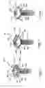 Fig. 04 - Threaded screw fastener characterized by high pull-out resistance, reduced installation torque, and unique head structure and drive socket implement or tool therefor