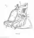 Fig. 04 - Self-adjusting child harness