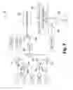 Fig. 09 - Throttle control and failure accommodation