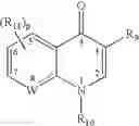 Fig. 07 - Macrolides