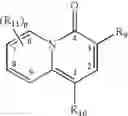 Fig. 09 - Macrolides