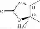 Fig. 28 - Macrolides