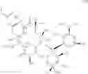 Fig. 32 - Macrolides