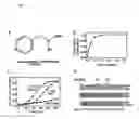 Fig. 02 - Compound and uses thereof