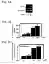 Fig. 02 - Method for treating or preventing inflammatory disorders