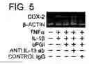Fig. 07 - Method for treating or preventing inflammatory disorders
