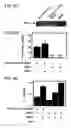 Fig. 08 - Method for treating or preventing inflammatory disorders