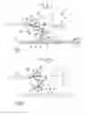 Fig. 02 - Method and device for applying a label to a packet