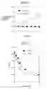 Fig. 03 - Immunoassay element