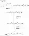 Fig. 02 - Composition, synthesis and therapeutic applications of polyamines
