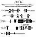 Fig. 294 - Atopy