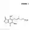 Fig. 02 - Method of mycophenolate mofetil preparation
