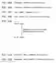 Fig. 11 - Compiler apparatus for optimizing high-level language programs using directives