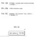 Fig. 19 - Compiler apparatus for optimizing high-level language programs using directives