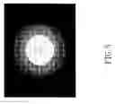 Fig. 06 - Edge emitting laser with circular beam