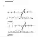 Fig. 16 - Method