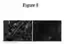 Fig. 09 - PTHrP-based prediction and diagnosis of bone disease