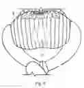 Fig. 07 - INFLATABLE, SELF-SUPPORTING SPORTS TRAINING AID