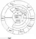 Fig. 09 - Management method