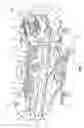 Fig. 02 - Patient support apparatus