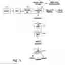 Fig. 06 - Process for obtaining bio-functional fractions from biomass
