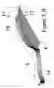 Fig. 04 - Triple tray with flexible joint