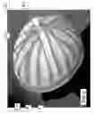 Fig. 06 - Interchangeable head coverings