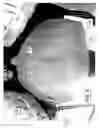 Fig. 08 - Interchangeable head coverings