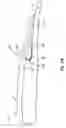 Fig. 03 - Method and system for regulating pressure and optimizing fluid flow about a fuselage similar body