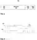 Fig. 07 - Algorithm for RFID security