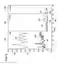 Fig. 09 - Quality of service differentiation in wireless networks