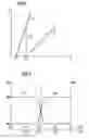 Fig. 04 - Motor-adjustable x-ray system