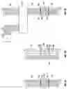 Fig. 06 - High-speed telephone connection