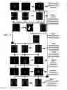 Fig. 07 - Method for generating fast magnetic resonance images