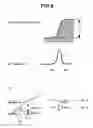 Fig. 06 - Method for measuring three dimensional shape of a fine pattern