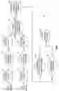 Fig. 02 - Realtime stereo and motion analysis on passive video images using an efficient image-to-image comparison algorithm requiring minimal buffering