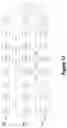 Fig. 13 - Recognition of electronic ink with late strokes