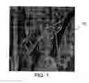 Fig. 02 - Progressive image transmission using discrete wavelet transforms