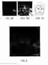 Fig. 04 - Automatic sketch generation