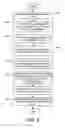 Fig. 09 - Automatic sketch generation